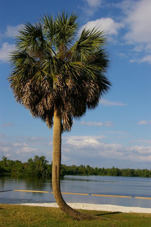 Cypress Cove Nudist Resort Poinciana Exteriör bild